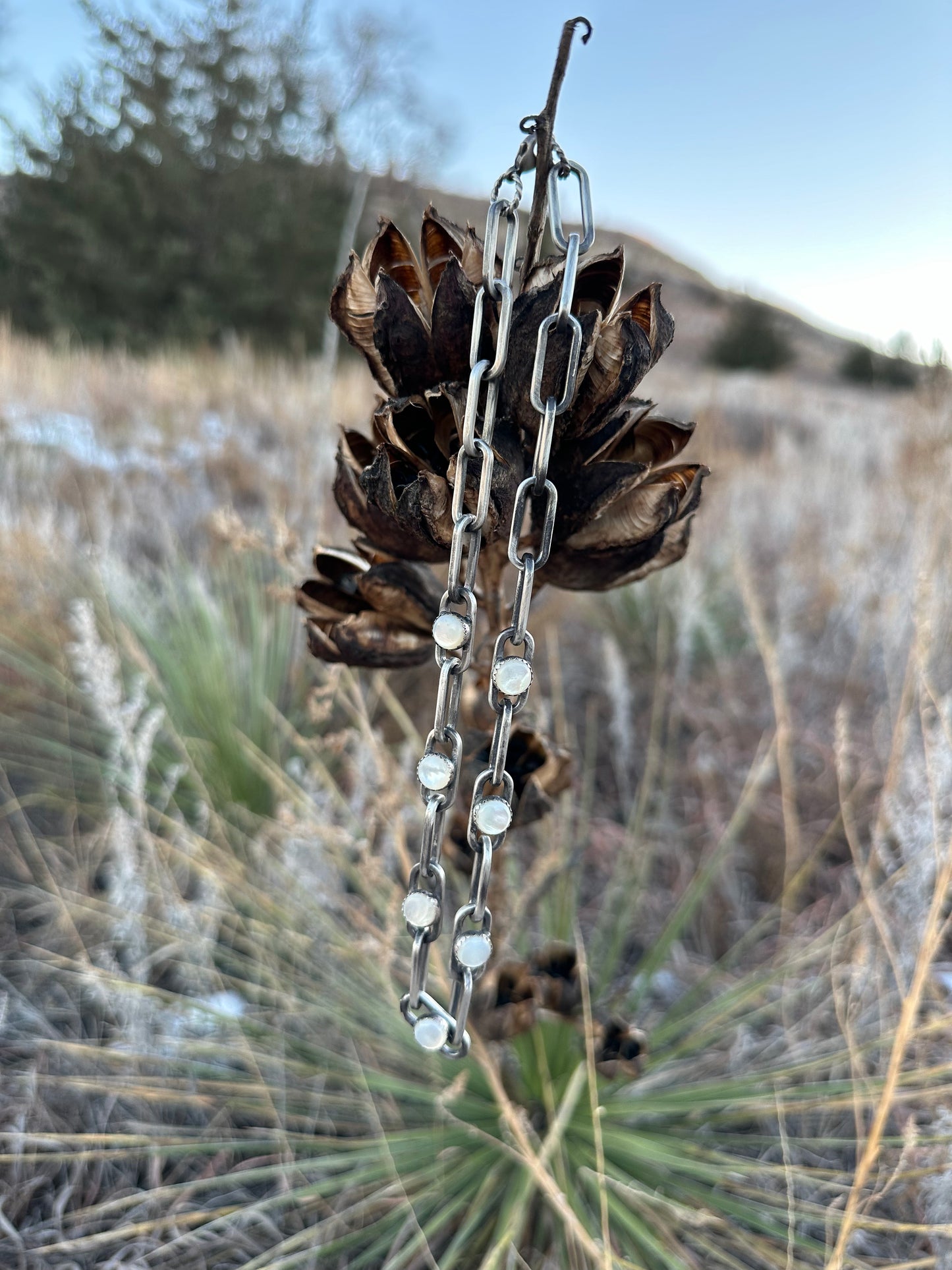 Wild West Necklace