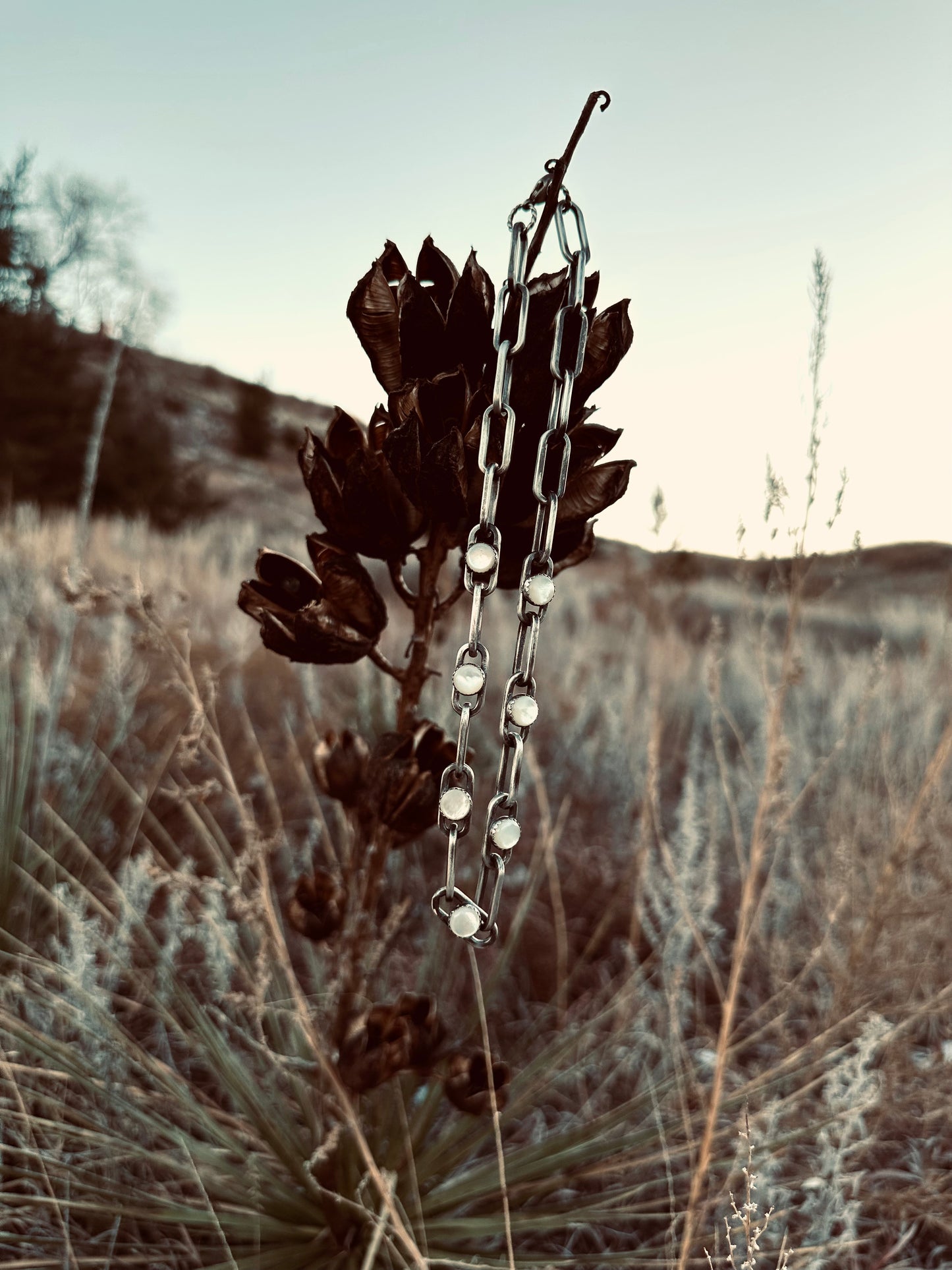 Wild West Necklace