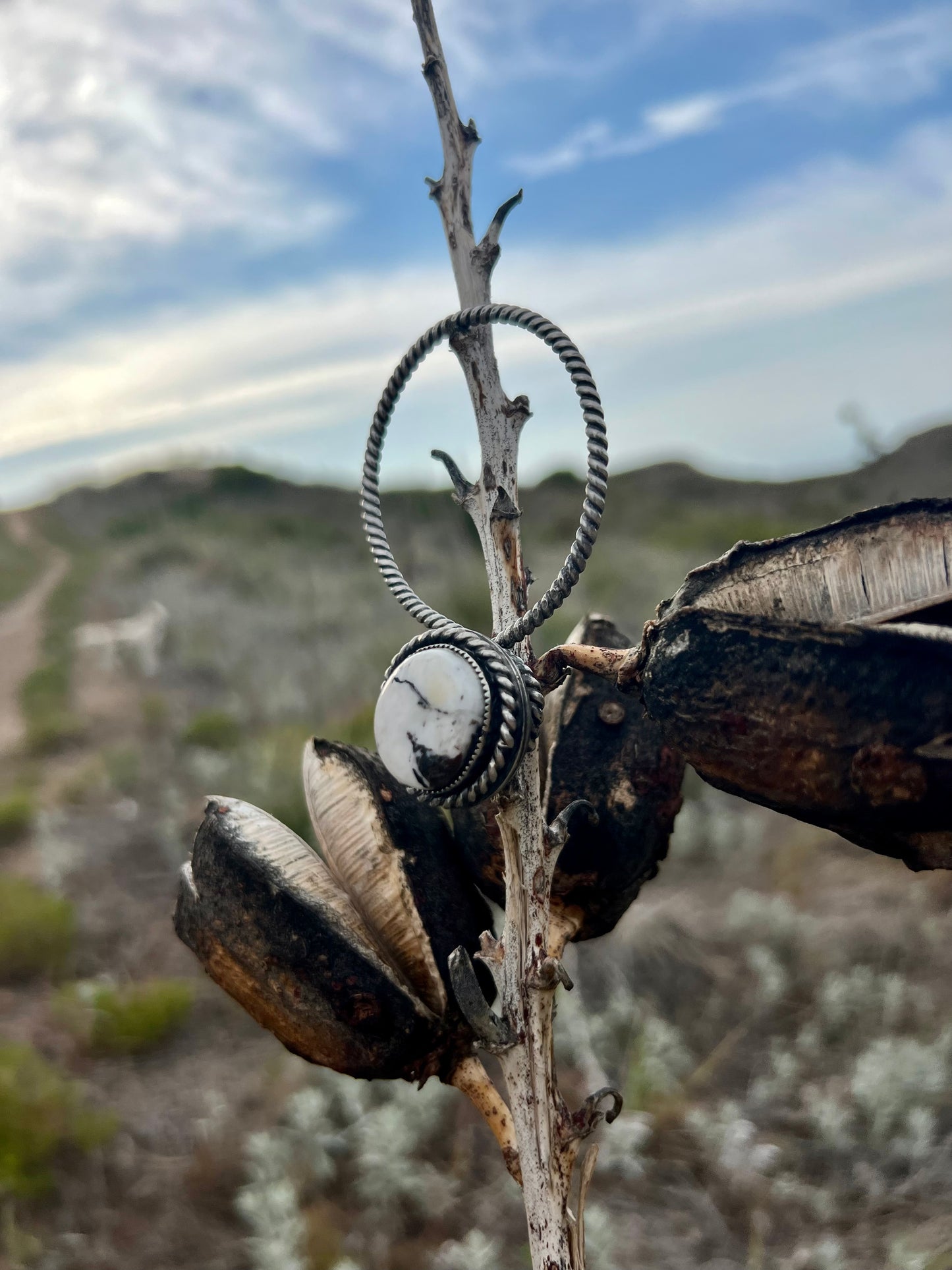 White Buffalo Key Holder